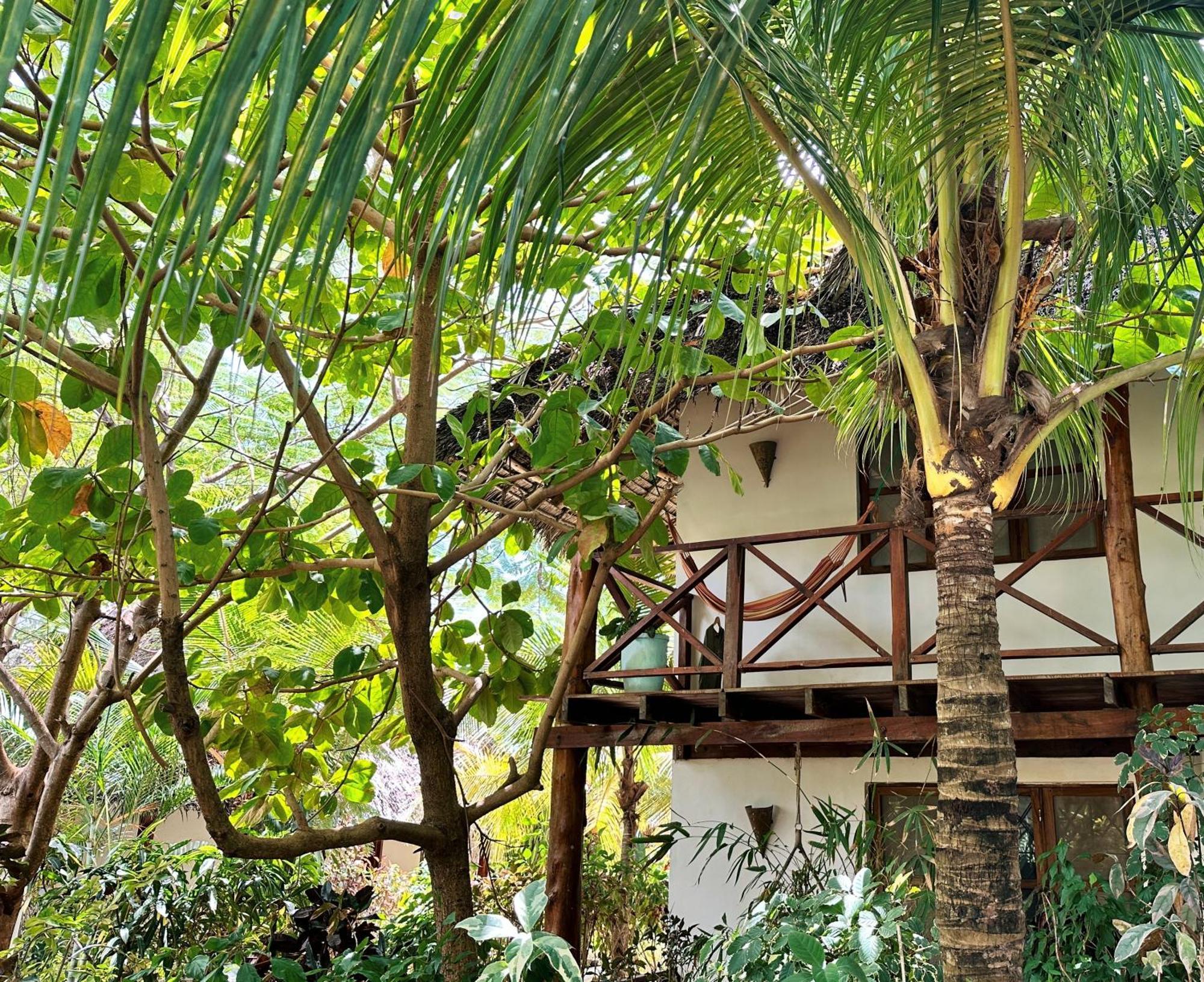 Maisha Nungwi - Boutique Hotel Exterior photo